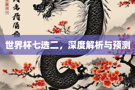 世界杯七选二，深度解析与预测