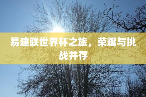 易建联世界杯之旅，荣耀与挑战并存