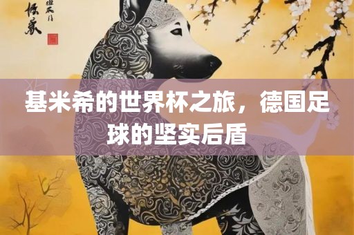 基米希的世界杯之旅，德国足球的坚实后盾