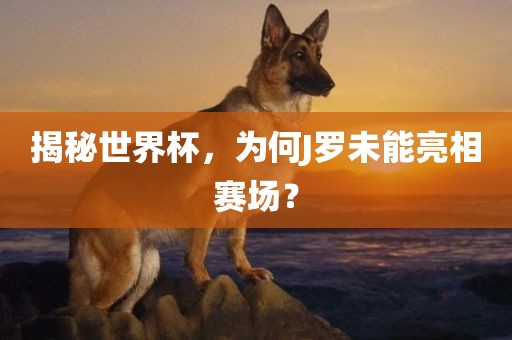 揭秘世界杯，为何J罗未能亮相赛场？