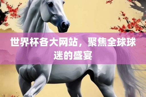 世界杯各大网站，聚焦全球球迷的盛宴