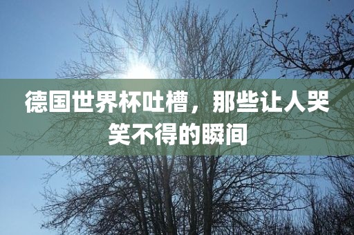 德国世界杯吐槽，那些让人哭笑不得的瞬间