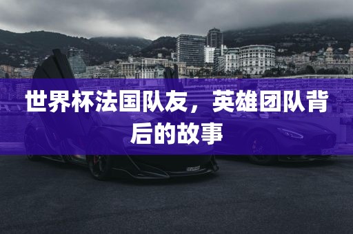 世界杯法国队友，英雄团队背后的故事