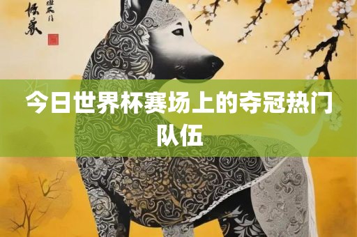 今日世界杯赛场上的夺冠热门队伍