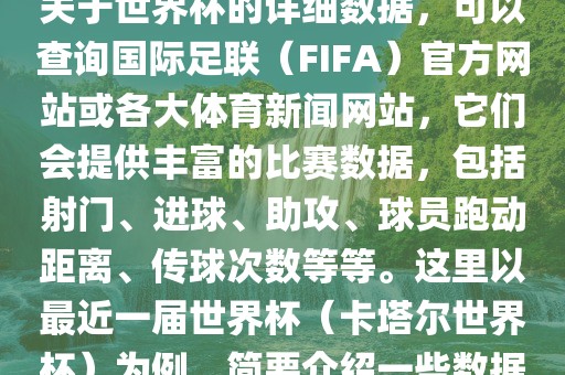 关于世界杯的详细数据，可以查询国际足联（FIFA）官方网站或各大体育新闻网站，它们会提供丰富的比赛数据，包括射门、进球、助攻、球员跑动距离、传球次数等等。这里以最近一届世界杯（卡塔尔世界杯）为例，简要介绍一些数据