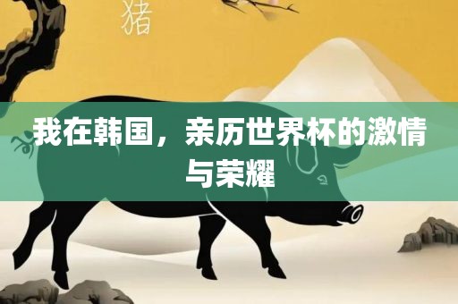 我在韩国，亲历世界杯的激情与荣耀