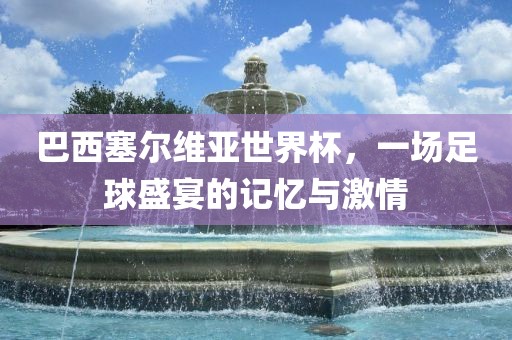 巴西塞尔维亚世界杯，一场足球盛宴的记忆与激情