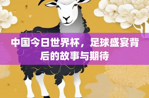 中国今日世界杯，足球盛宴背后的故事与期待
