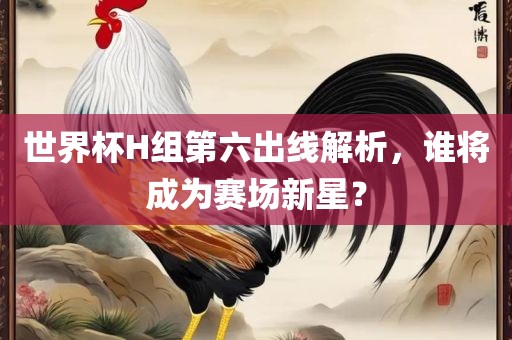 世界杯H组第六出线解析，谁将成为赛场新星？
