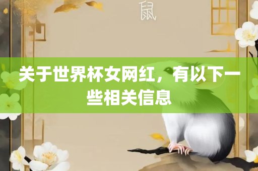 关于世界杯女网红，有以下一些相关信息