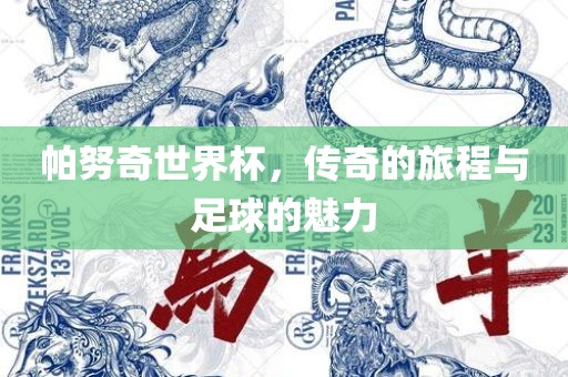 帕努奇世界杯，传奇的旅程与足球的魅力