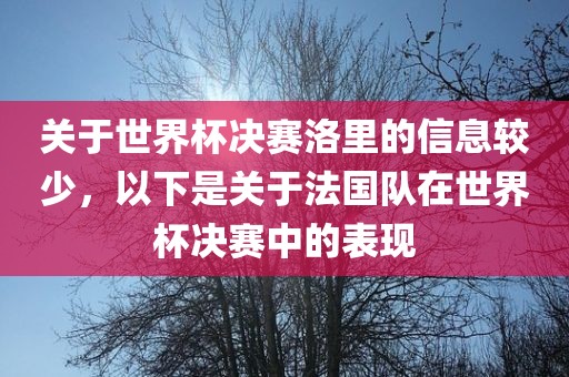 关于世界杯决赛洛里的信息较少，以下是关于法国队在世界杯决赛中的表现