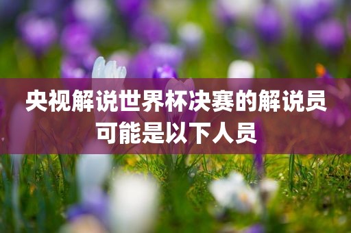 央视解说世界杯决赛的解说员可能是以下人员