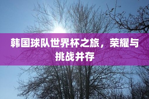 韩国球队世界杯之旅，荣耀与挑战并存