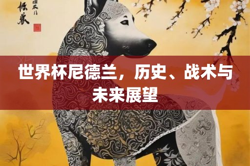 世界杯尼德兰，历史、战术与未来展望