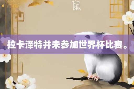 拉卡泽特并未参加世界杯比赛。