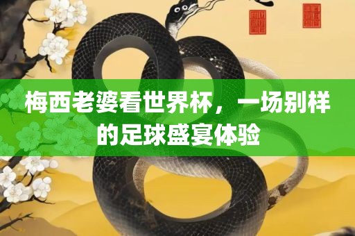 梅西老婆看世界杯，一场别样的足球盛宴体验
