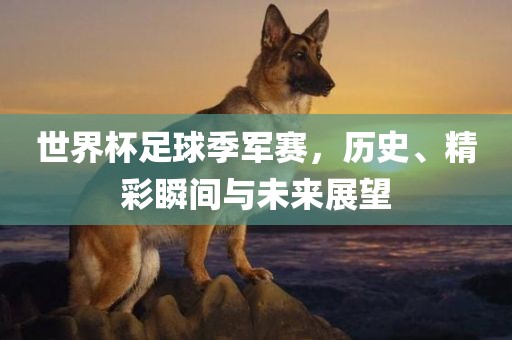 世界杯足球季军赛，历史、精彩瞬间与未来展望