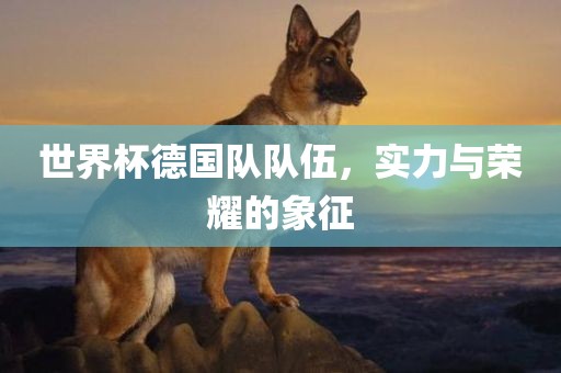 世界杯德国队队伍，实力与荣耀的象征