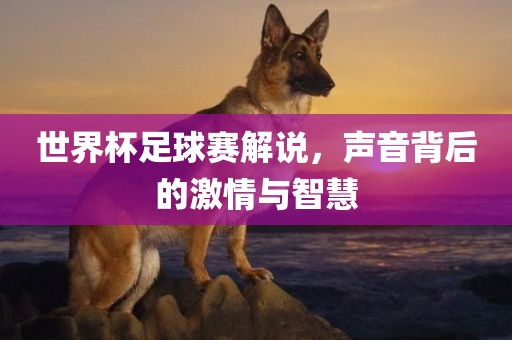 世界杯足球赛解说，声音背后的激情与智慧