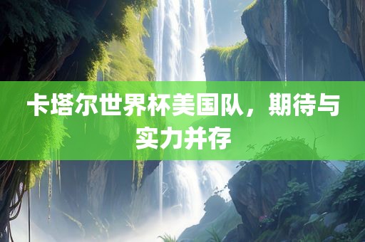 卡塔尔世界杯美国队，期待与实力并存