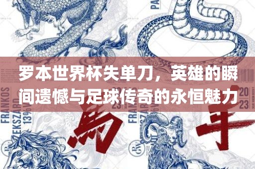 罗本世界杯失单刀，英雄的瞬间遗憾与足球传奇的永恒魅力