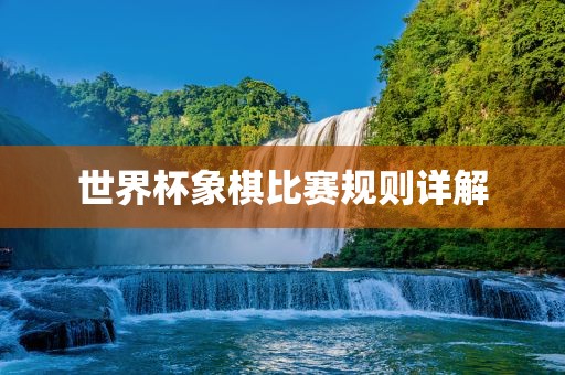 世界杯象棋比赛规则详解