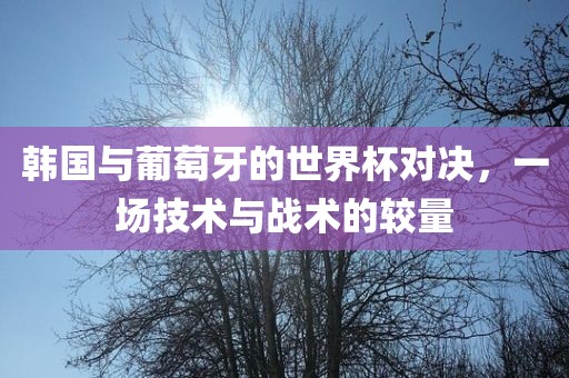 韩国与葡萄牙的世界杯对决，一场技术与战术的较量