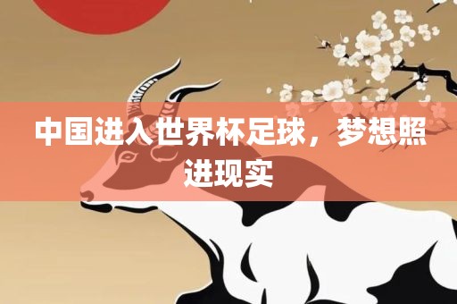 中国进入世界杯足球，梦想照进现实