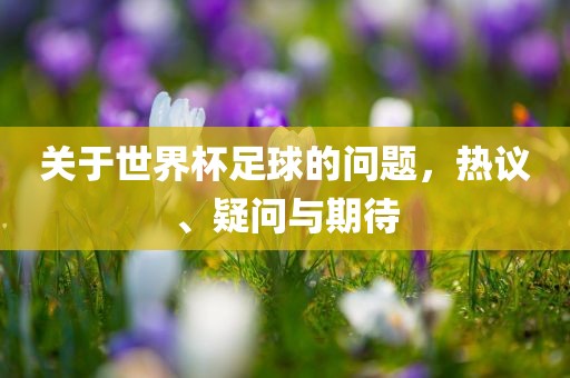 关于世界杯足球的问题，热议、疑问与期待