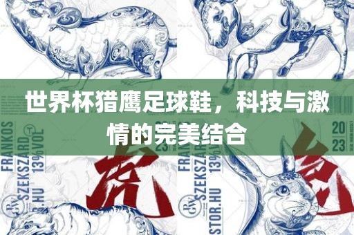 世界杯猎鹰足球鞋，科技与激情的完美结合