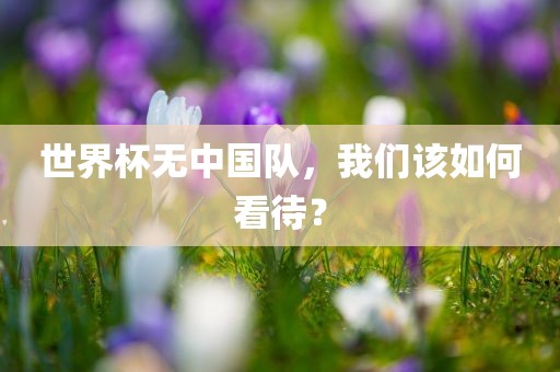 世界杯无中国队，我们该如何看待？