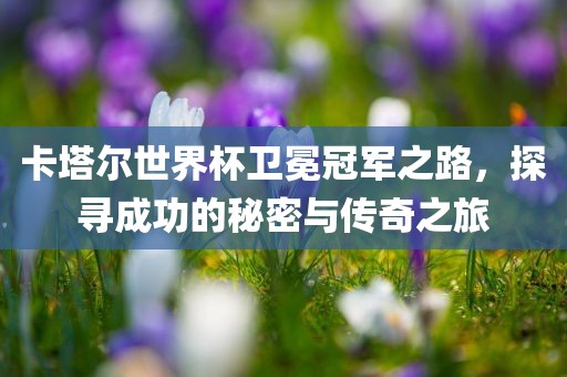 卡塔尔世界杯卫冕冠军之路，探寻成功的秘密与传奇之旅