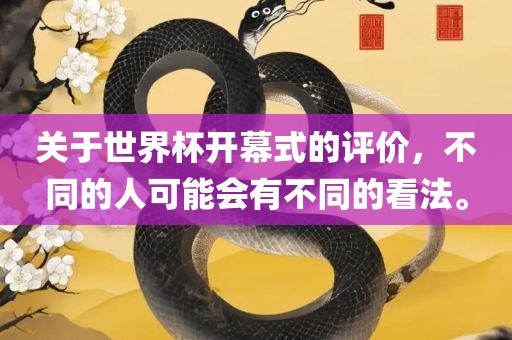 关于世界杯开幕式的评价，不同的人可能会有不同的看法。