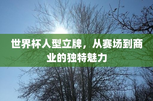 世界杯人型立牌，从赛场到商业的独特魅力