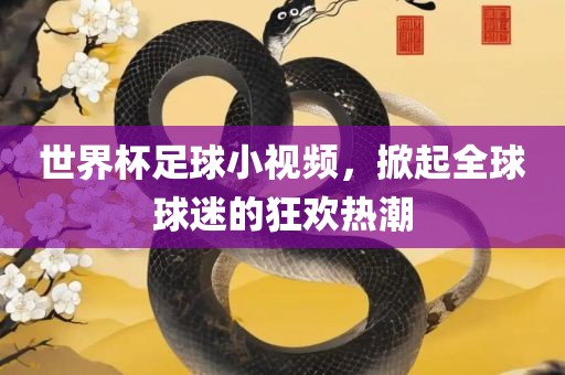 世界杯足球小视频，掀起全球球迷的狂欢热潮