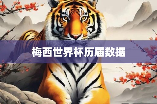 梅西世界杯历届数据