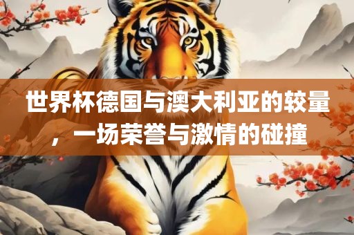 世界杯德国与澳大利亚的较量，一场荣誉与激情的碰撞