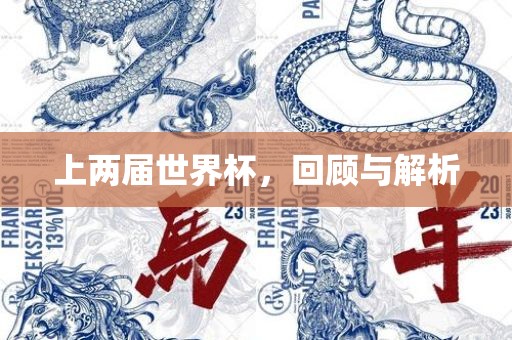 上两届世界杯，回顾与解析