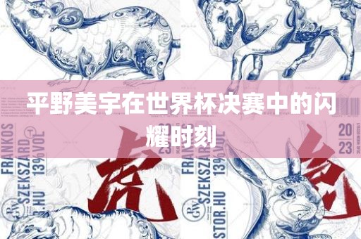 平野美宇在世界杯决赛中的闪耀时刻