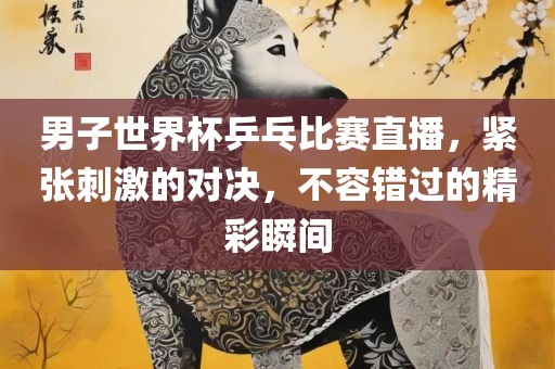 男子世界杯乒乓比赛直播，紧张刺激的对决，不容错过的精彩瞬间