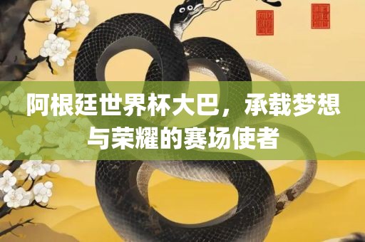 阿根廷世界杯大巴，承载梦想与荣耀的赛场使者