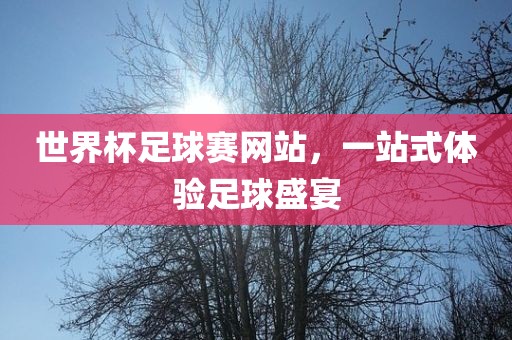 世界杯足球赛网站，一站式体验足球盛宴