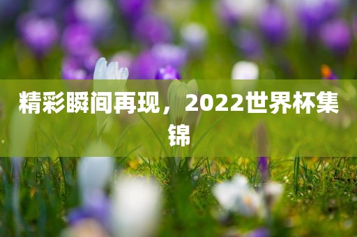 精彩瞬间再现，2022世界杯集锦