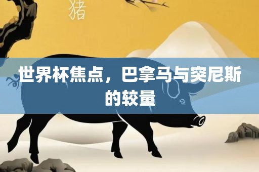 世界杯焦点，巴拿马与突尼斯的较量