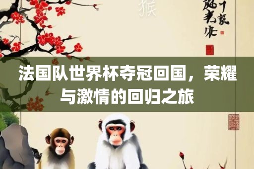 法国队世界杯夺冠回国，荣耀与激情的回归之旅