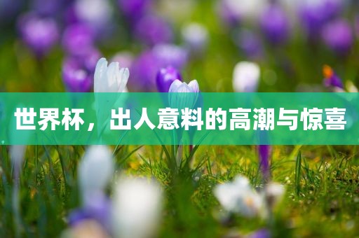 世界杯，出人意料的高潮与惊喜