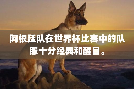 阿根廷队在世界杯比赛中的队服十分经典和醒目。