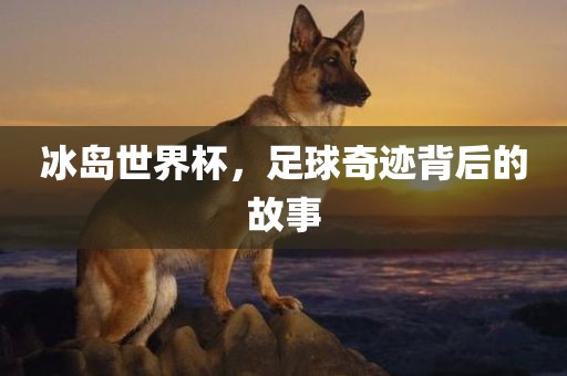 冰岛世界杯，足球奇迹背后的故事