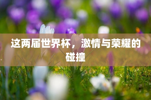 这两届世界杯，激情与荣耀的碰撞